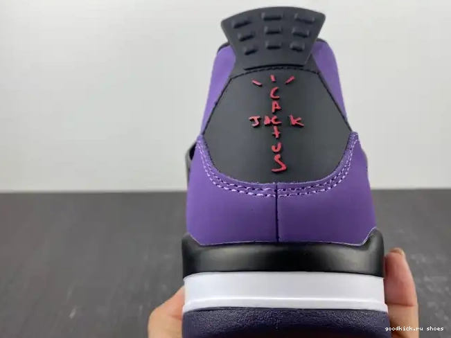 Scott LN4 (Friends and Jordan 4 766296 Retro Family) Purple Travis 0506
